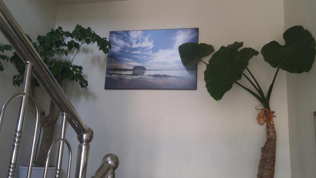 Sea Dragon Pension Seogwipo Luaran gambar